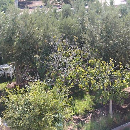 לינה וארוחת בוקר אסאוירה Les Jardins Fleuris מראה חיצוני תמונה